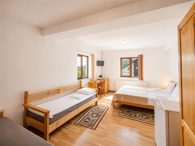 Hotel/Pensiune, de 515 mp, în Valea Alba