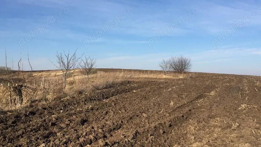 Teren de 7000 mp, în Dorobanț