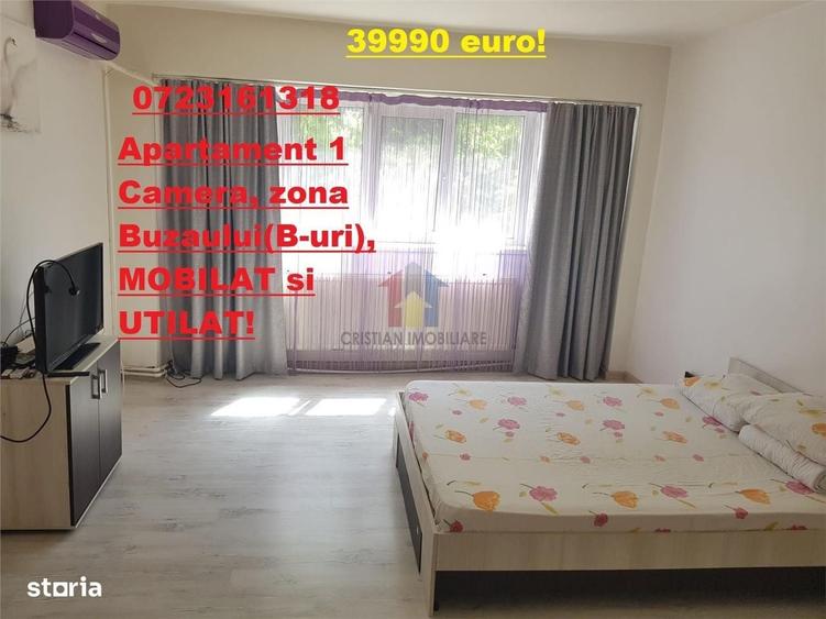 Garsonieră în Buzaului