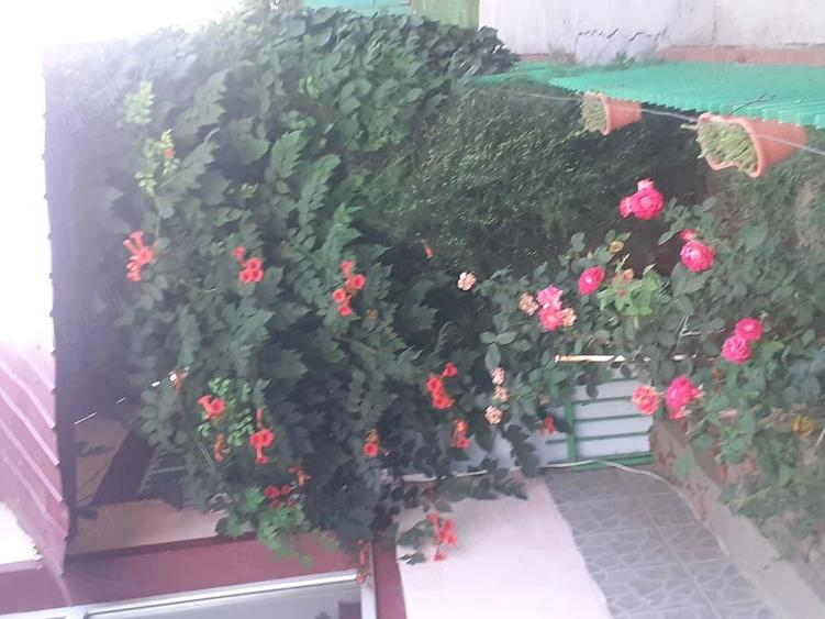 Casă cu 3 camere cu Teren 917 Mp în Iohanisfeld