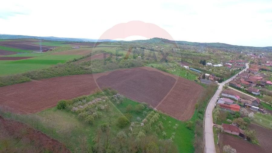 Teren agricol intravilan de 10000 mp, în Bădeni