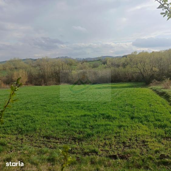 Teren de 3200 mp, în Bosanci