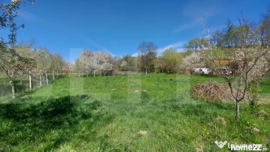 Casă cu 2 camere cu Teren 3100 Mp în Lisnău