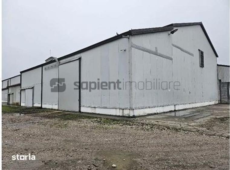 Spațiu comercial, de 4,162 mp, în Tinca