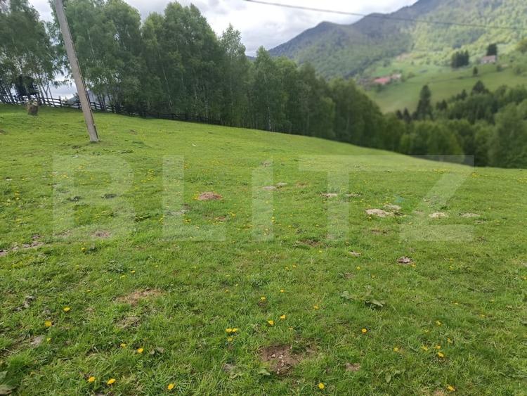 Teren Construcții intravilan de 4649 mp, în Peștera