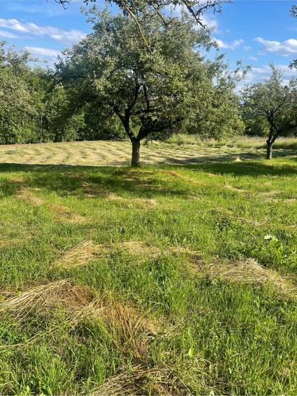 Teren de 1100 mp, în Vâlcele