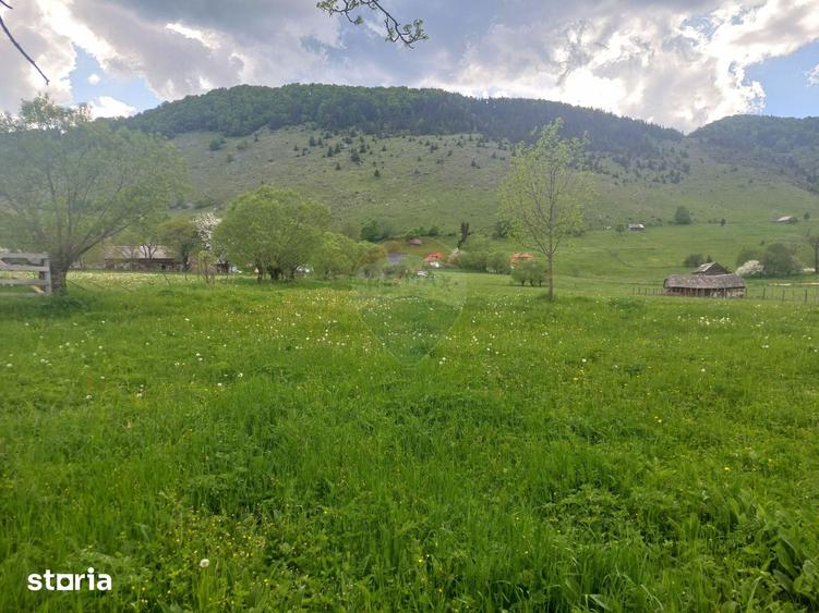 Teren de 4245 mp, în Mănești