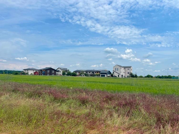 Teren Construcții intravilan de 22000 mp, în Dumbrăveni