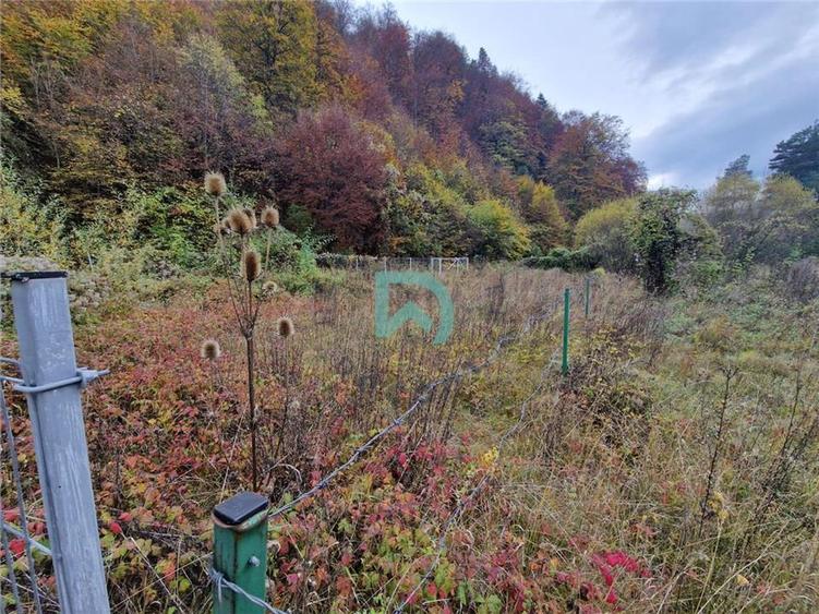 Teren intravilan de 500 mp, în Baciu