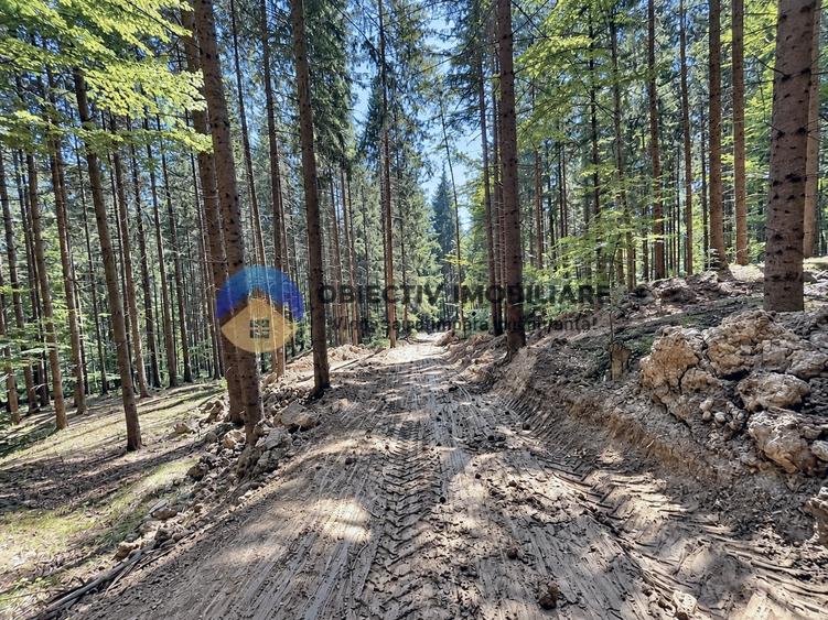 Teren intravilan de 4500 mp, în Pângărați