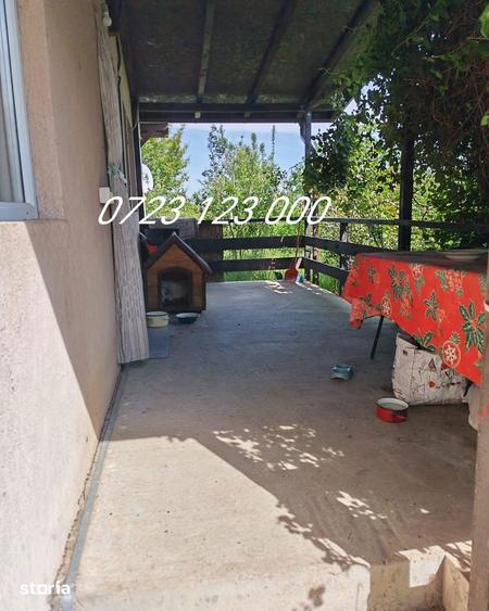Casa de vanzare in Branesti, in apropiere de padure si lac - 10
