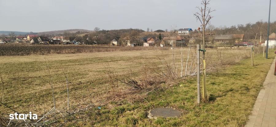 Teren de 1500 mp, în Vultureni