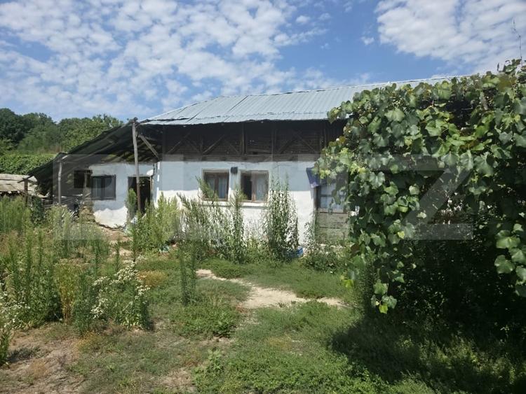 Teren Construcții intravilan de 1598 mp, în Cobia