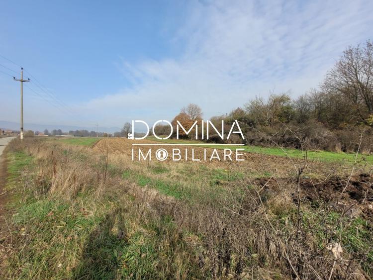 Teren Construcții intravilan de 1654 mp, în Ursați