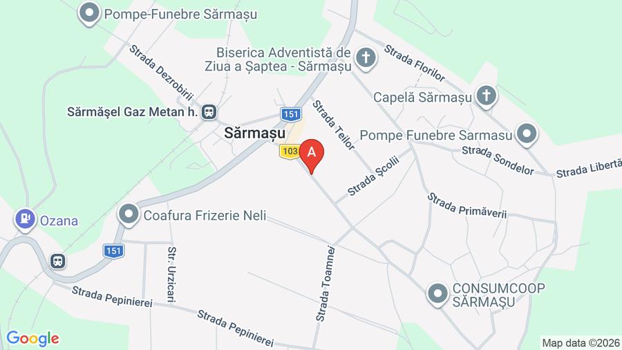 Casă individuală cu 4 camere cu Teren 1620 Mp în Central