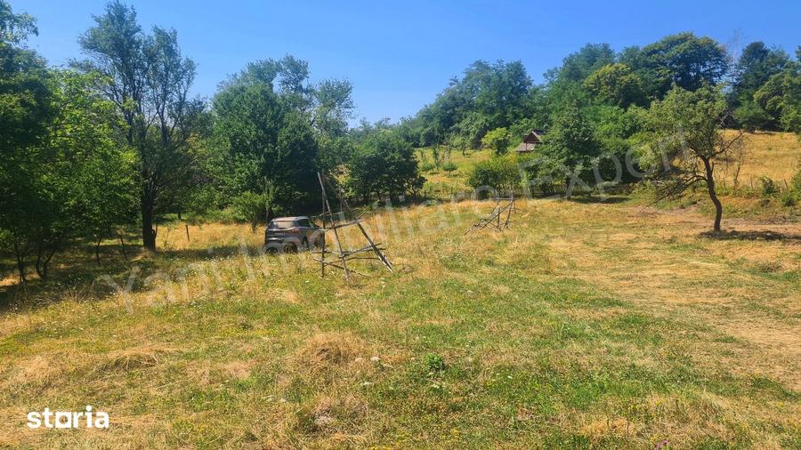 Teren de 3073 mp, în Cepari