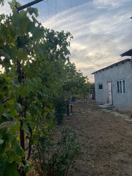 Casă cu 5 camere cu Teren 936 Mp în Robănești
