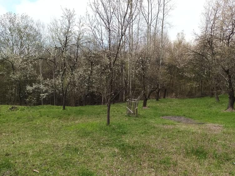 Teren de 10600 mp, în Berislăvești
