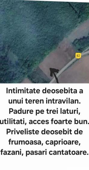 Teren intravilan unic, zona noua langa padure, Bucuresti si Ilfov, oportunitate investitie - 1