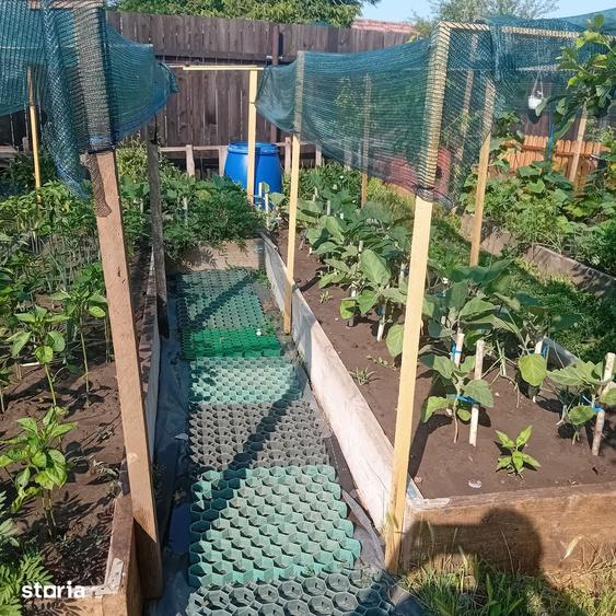 Casă cu 3 camere cu Teren 750 Mp în Petrăchioaia