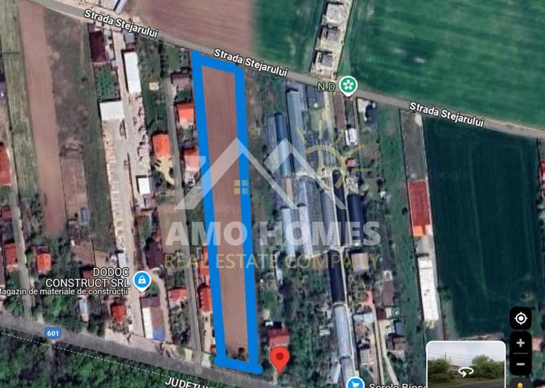 Teren Construcții intravilan de 5000 mp, în Ciorogârla