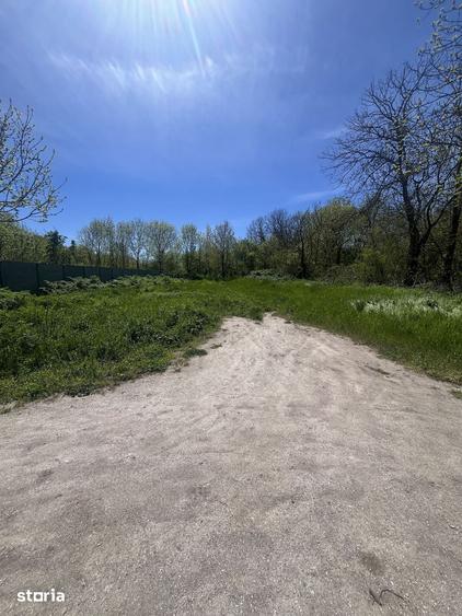 Teren de 728 mp, în Central