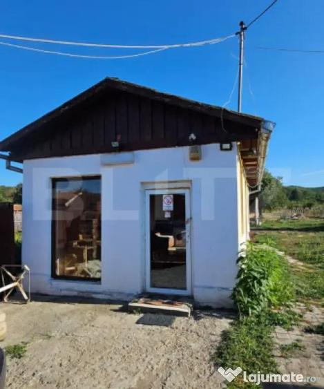 Doua unita?i locative tip cabana sat Pojoga, jud. Hu - 10