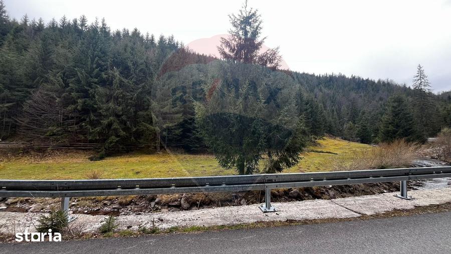 Teren de 4331 mp, în Arieșeni