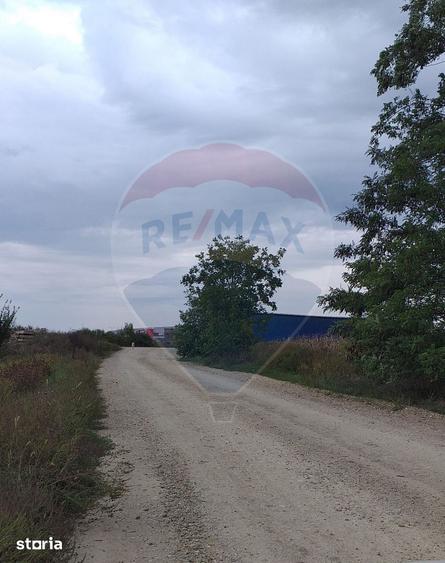 Teren de 3000 mp, în Borș