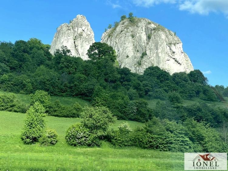 Casă individuală cu 3 camere cu Teren 1338 Mp în Ampoița