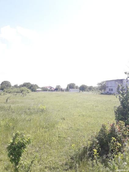 Teren de 2557 mp, în Iazu
