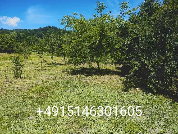 Casă cu 6 camere cu Teren 2135 Mp în Ilteu