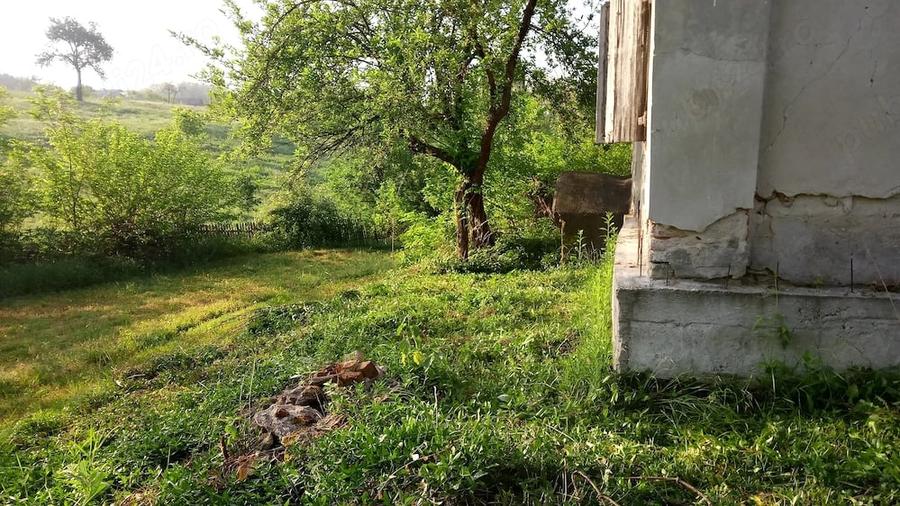 Casă cu 2 camere cu Teren 10000 Mp în Fârtățești
