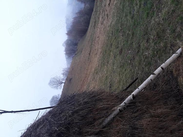 Teren de 11606 mp, în Vișagu