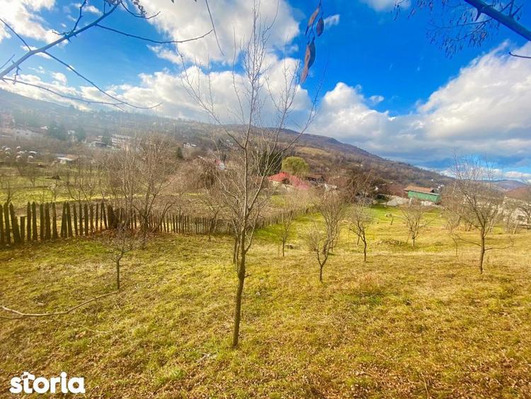 Teren de 1135 mp, în Valea Doftanei