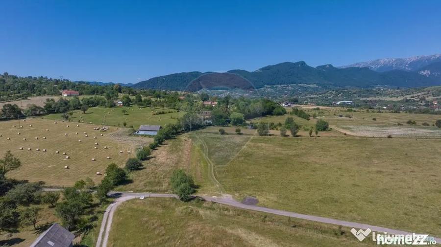 Teren Bran -Sohodol, Strada La mesteceni, 6900mp - 11
