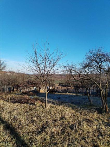 Casă cu Teren 3000 Mp în Hidiș