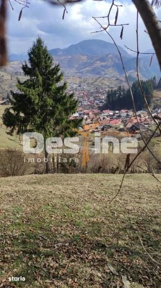 Teren de 5000 mp, în Șinca