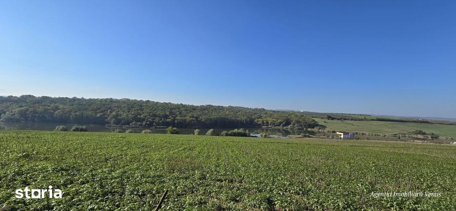 Teren de 700 mp, în Central