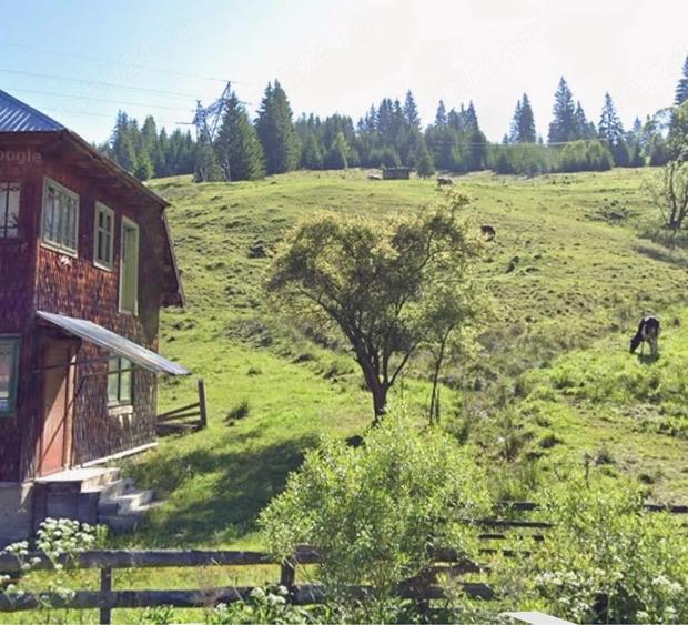 Teren de 6000 mp, în Cozănești