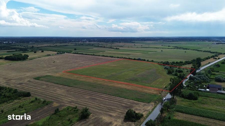 Teren de 20000 mp, în Bolintin-Deal