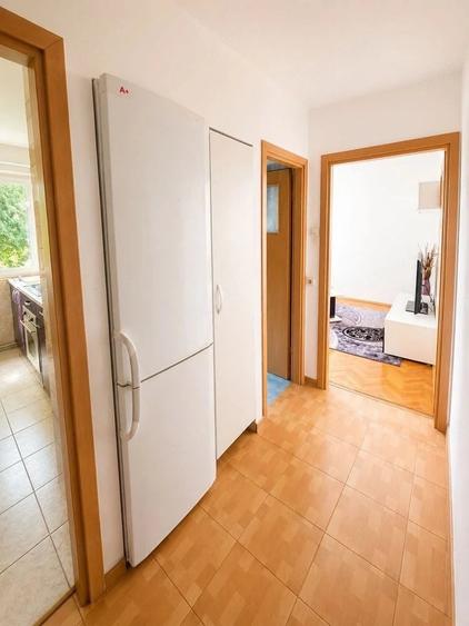 Apartament cu 2 camere posibilitate pe centrala Sagului Piata Doina - 4