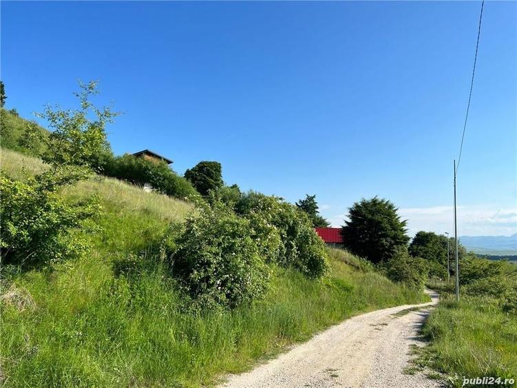 Teren de 4100 mp, în Sălicea
