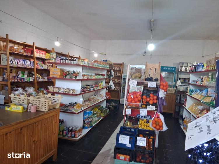 Spațiu comercial, de 350 mp, în Șepreuș