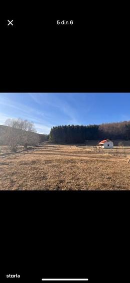 Teren de 4521 mp, în Valea Doftanei
