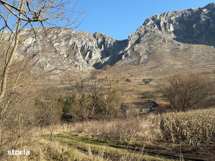 Teren de 1250 mp, în Râmeț