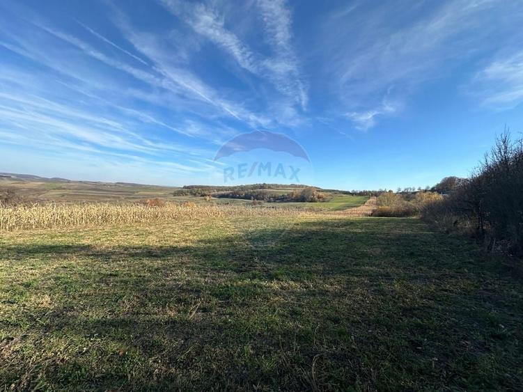 Teren agricol extravilan de 12934 mp, în Bogdand