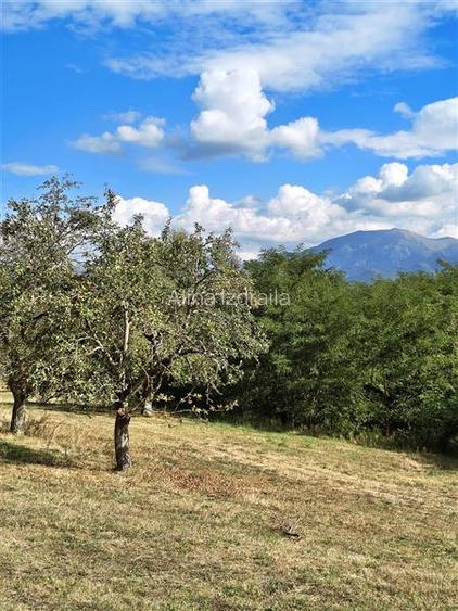 Teren la padure de vanzare Talmaciu Podu Olt