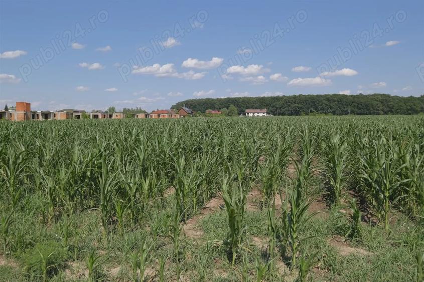 Teren în Corbeanca