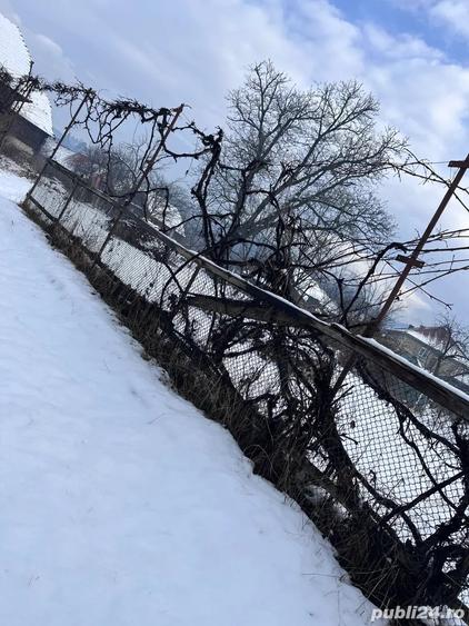 Teren de 1171 mp, în Zăbala